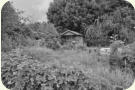 Garten 62