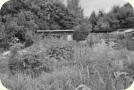 Garten 63
